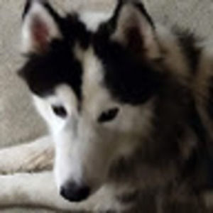 Meet your Posher, Mireira ines